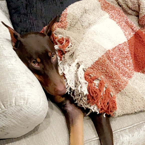 Meet your Posher, Michelle - Picture 1 of 1